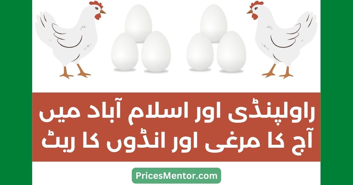 Chicken Rate Today Rawalpindi & Islamabad 2023 [UPDATED]