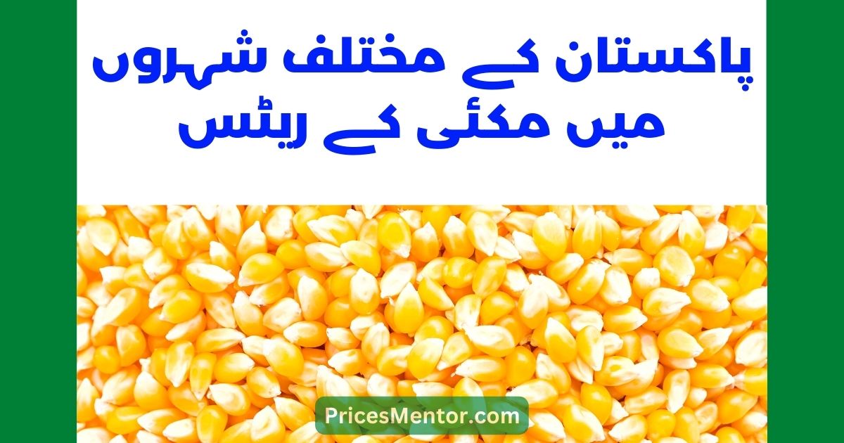 Makai Rate in Pakistan Today 2023 | Maize Price in Pakistan Today