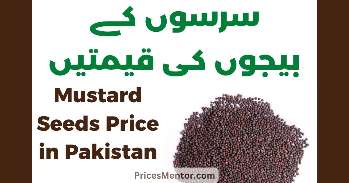 Mustard Seed Price in Pakistan Today 2023