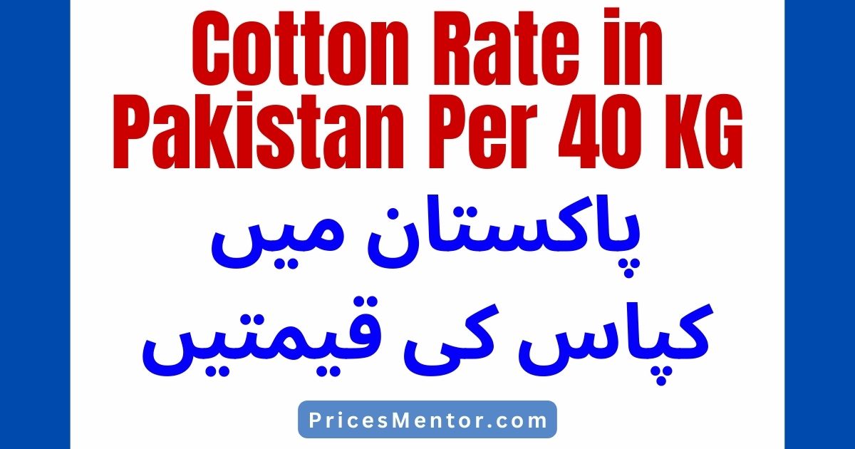 Cotton Rate in Pakistan Per 40 KG, Phutti / Kapas Rate in Pakistan Today, Cotton Rate in Punjab Pakistan Today 2023, Phutti Price in Sindh Pakistan Today 2023, Kapas Rate in Balochistan Today 2023