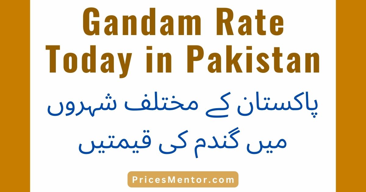 Gandam Rate Today in Pakistan 2023 | Gundam Price in Pakistan Today | Gundam Ka Rate in Pakistan Today 2023 | 40 KG Wheat Price in Punjab, Sindh & Baluchistan Today